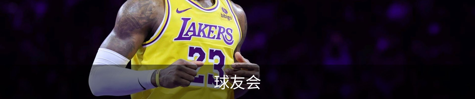 球友会